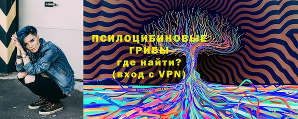 твердый Абинск